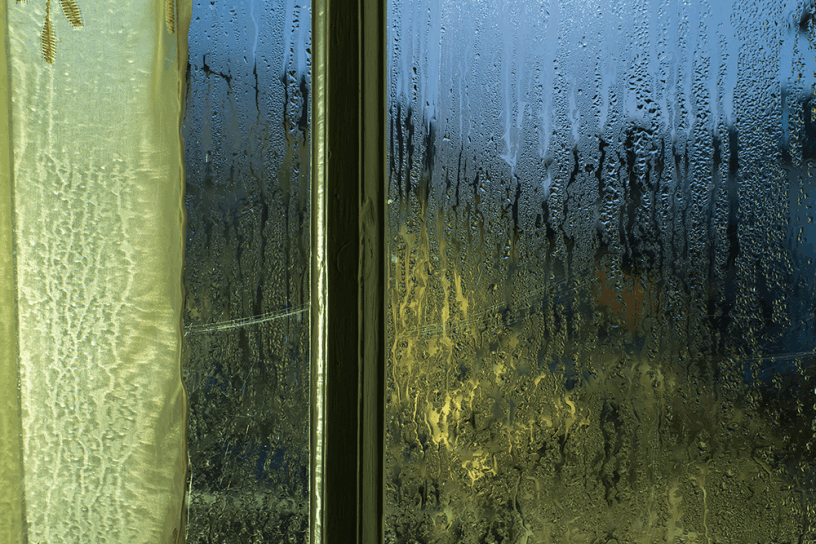 Liverpool Condensation Control | Barrier Property Care